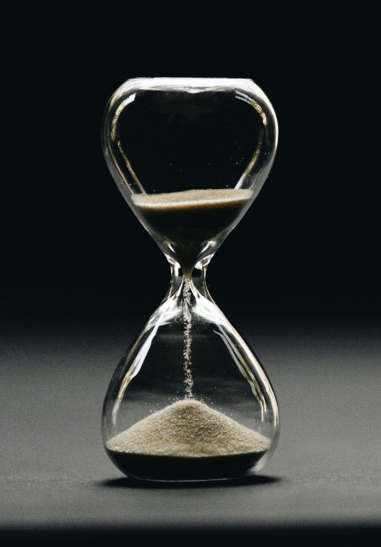 24 Hour Expedited Fee